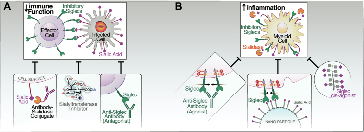 Fig. 2