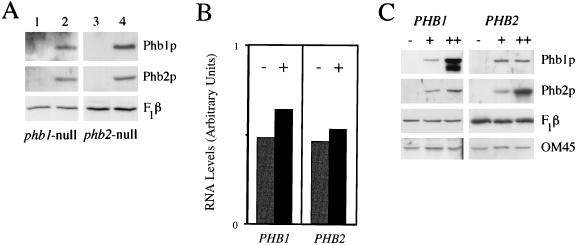 FIG. 5