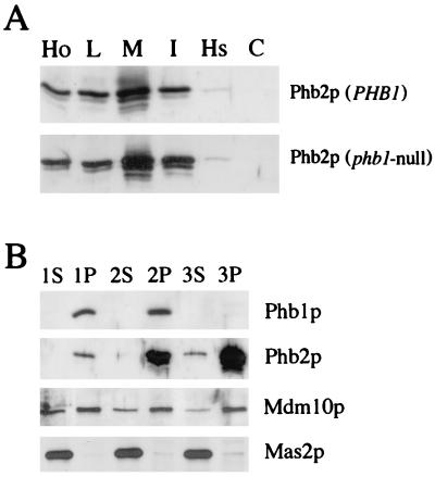 FIG. 6