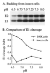 FIG. 6