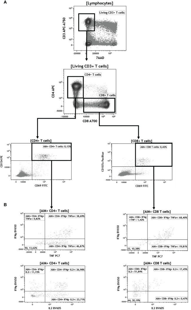 Figure 4