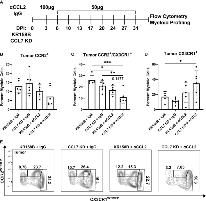 Figure 6