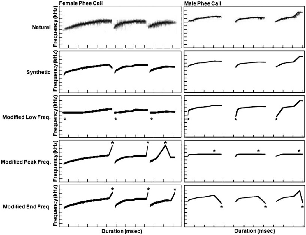 Production and Perception of Sex Differences in Vocalizations of Wied’s ...