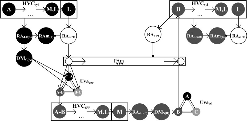 Fig. 5.