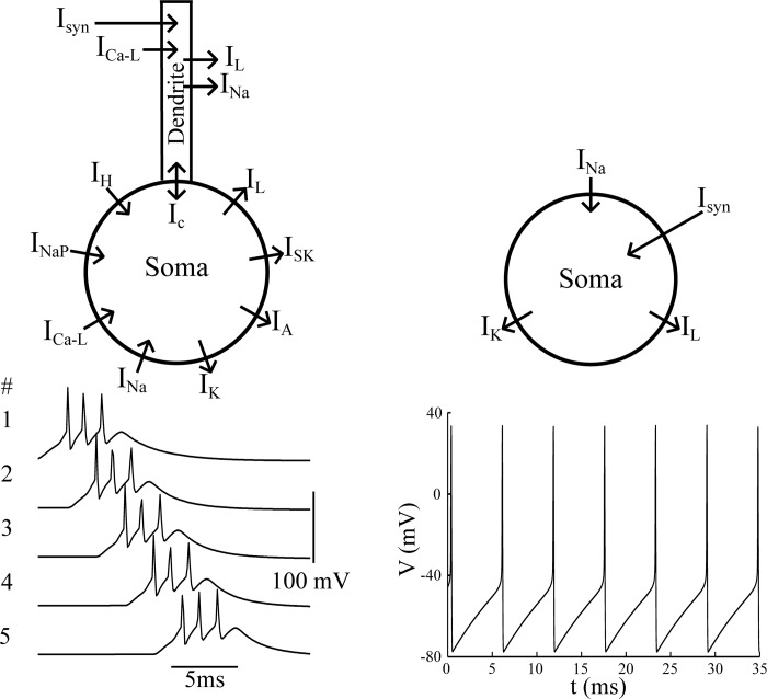 Fig. 3.