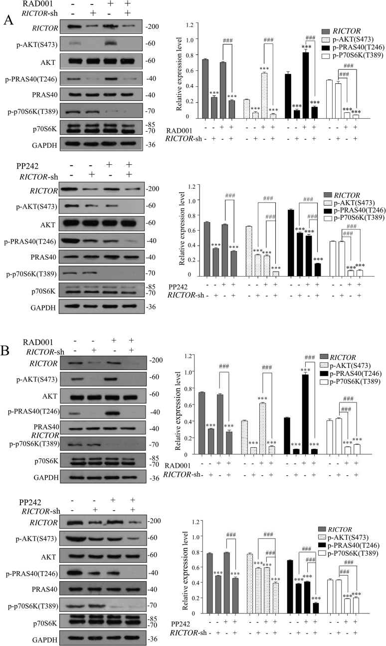 Figure 6