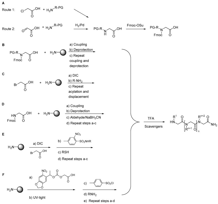 Scheme 1