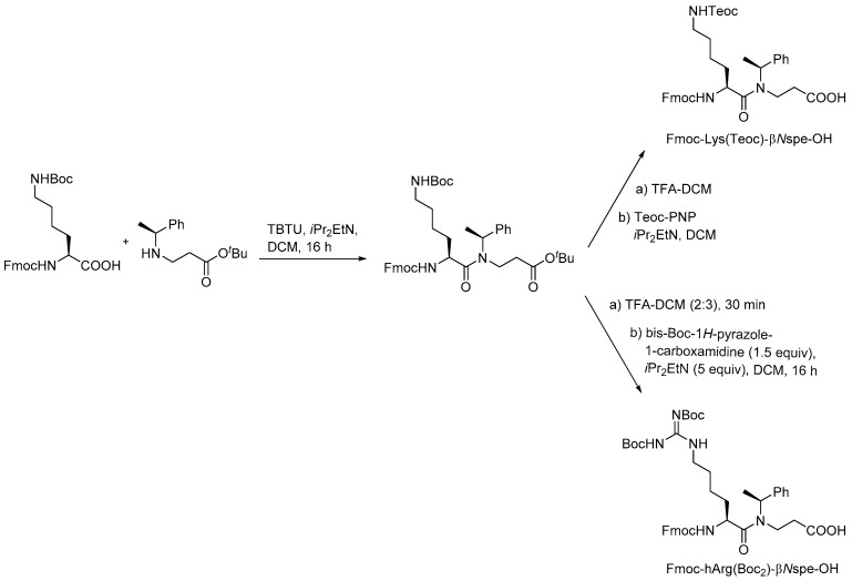 Scheme 9