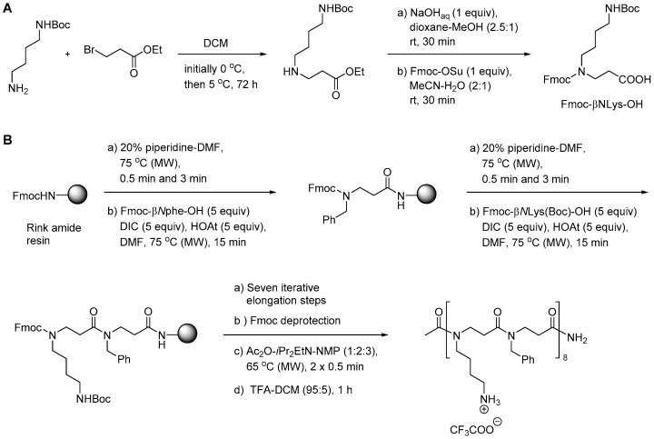 Scheme 5