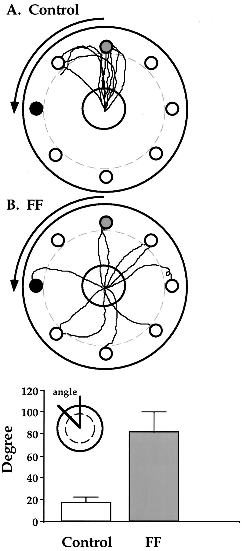 Fig. 7.