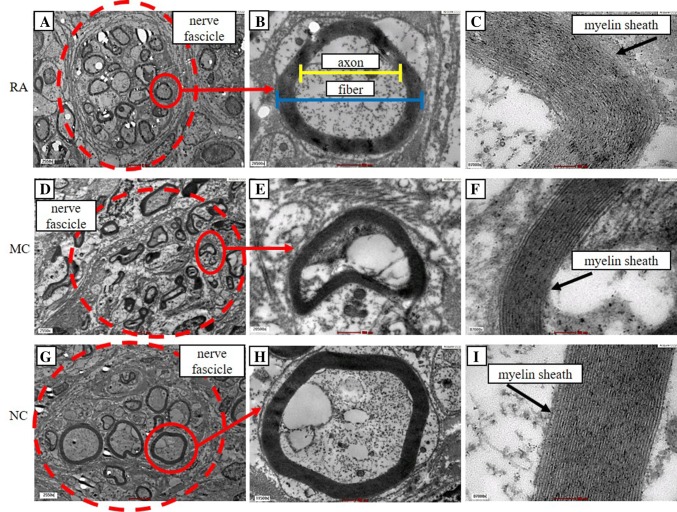 Fig. 7