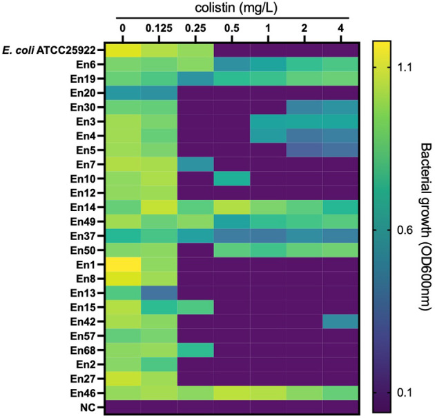 Figure 2