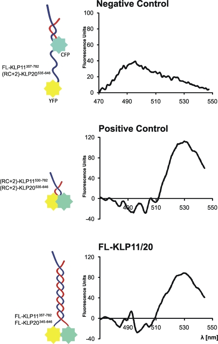 FIGURE 5: