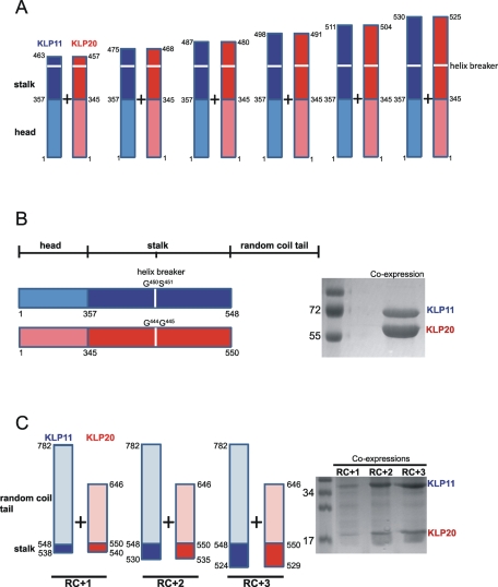 FIGURE 3: