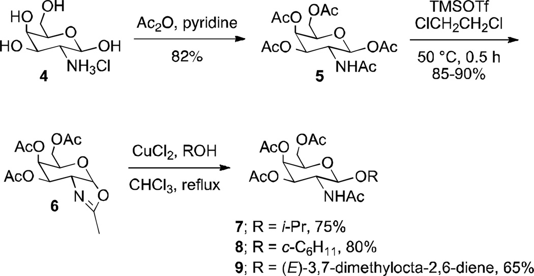 Scheme 2