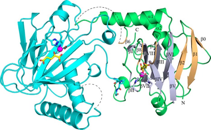 FIGURE 5.