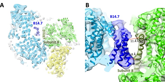 Figure 3.