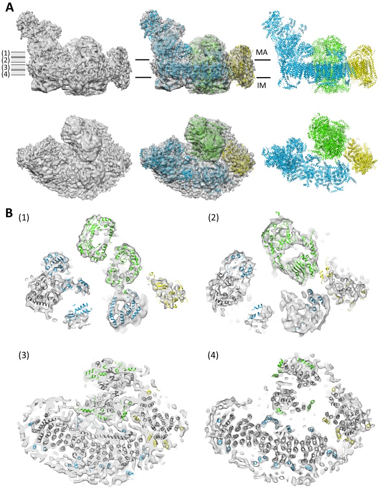 Figure 2.