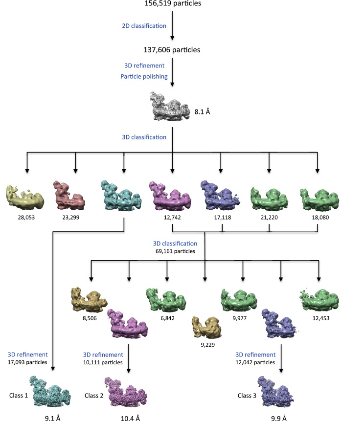 Figure 1—figure supplement 2.