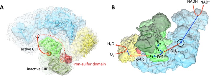 Figure 5.