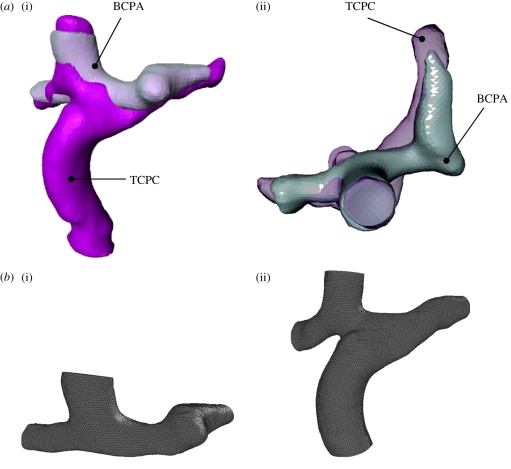Figure 2.