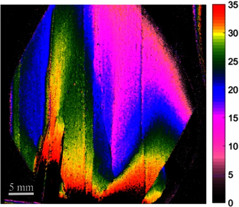 Fig. 10