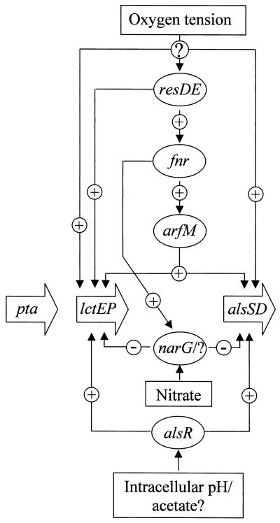 FIG. 5