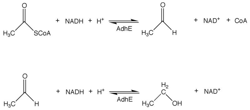 Scheme 4