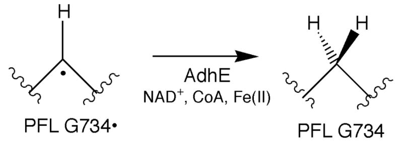 Scheme 3