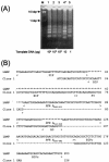 FIG. 4.