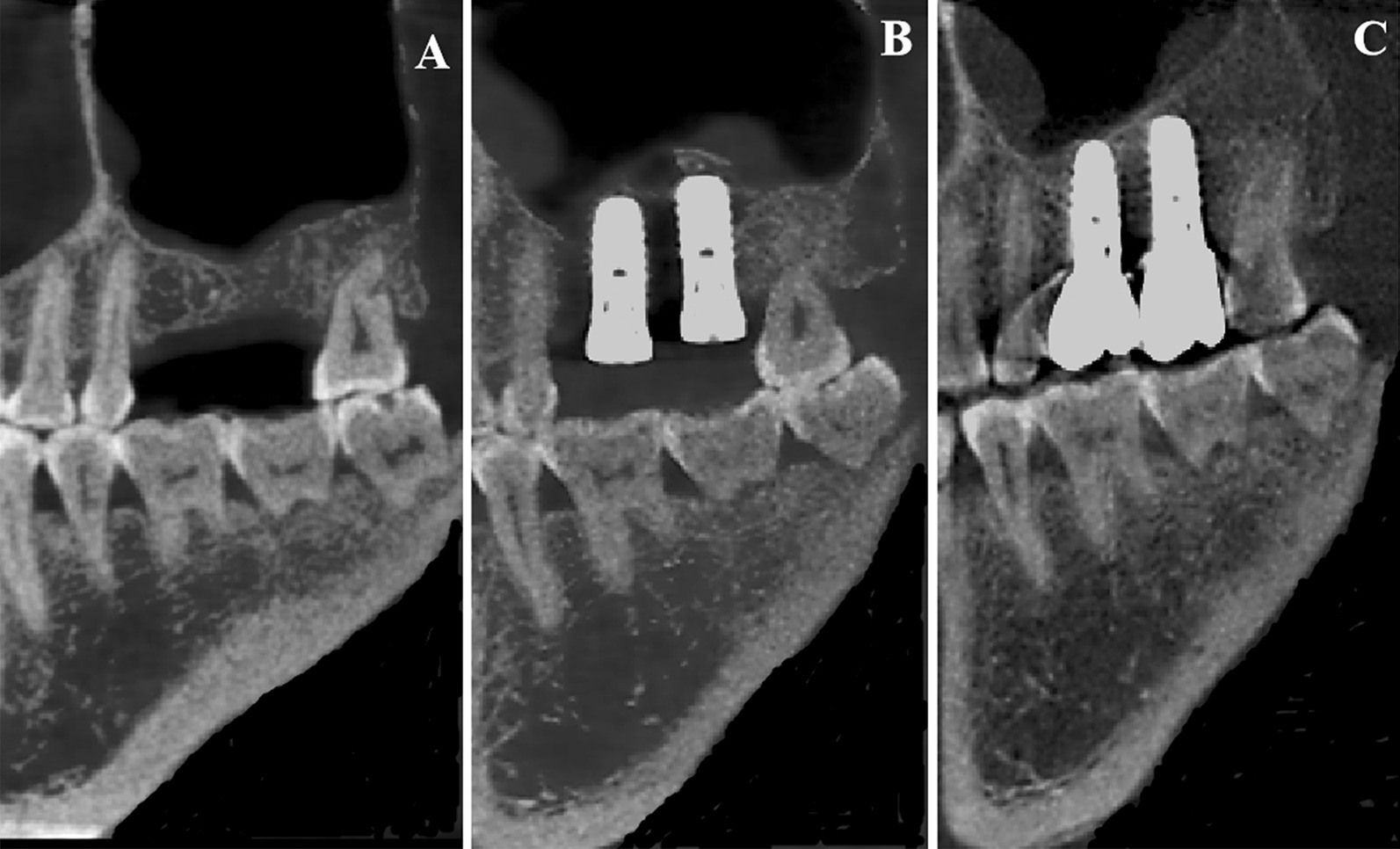 Fig. 5