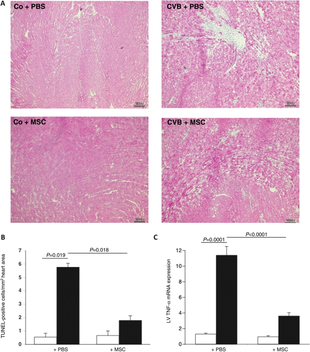 Figure 6