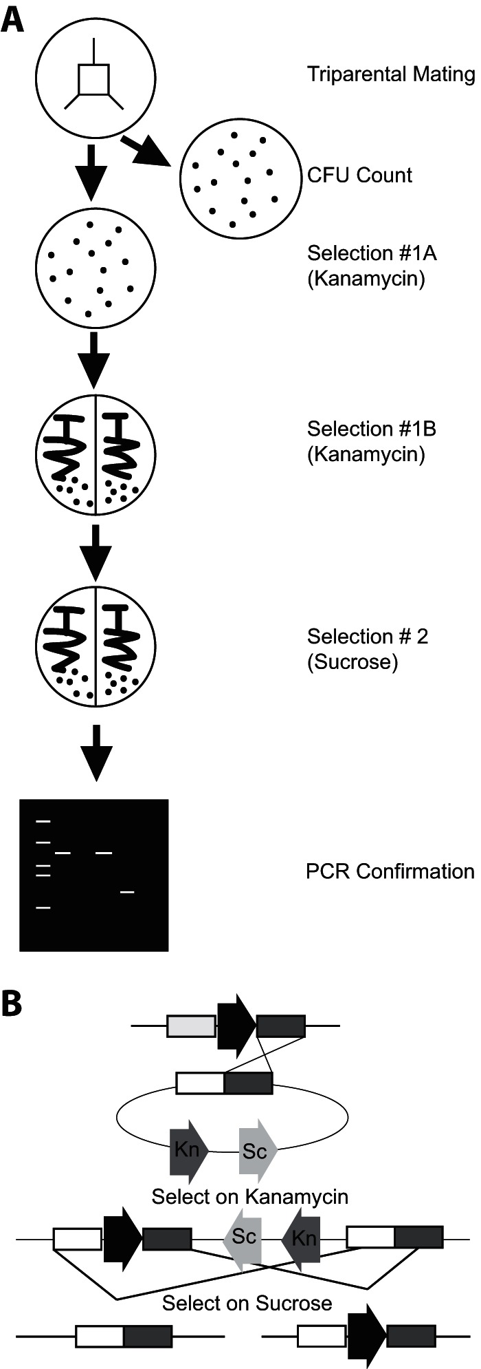 FIG 1