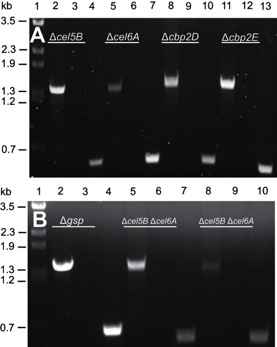 FIG 2