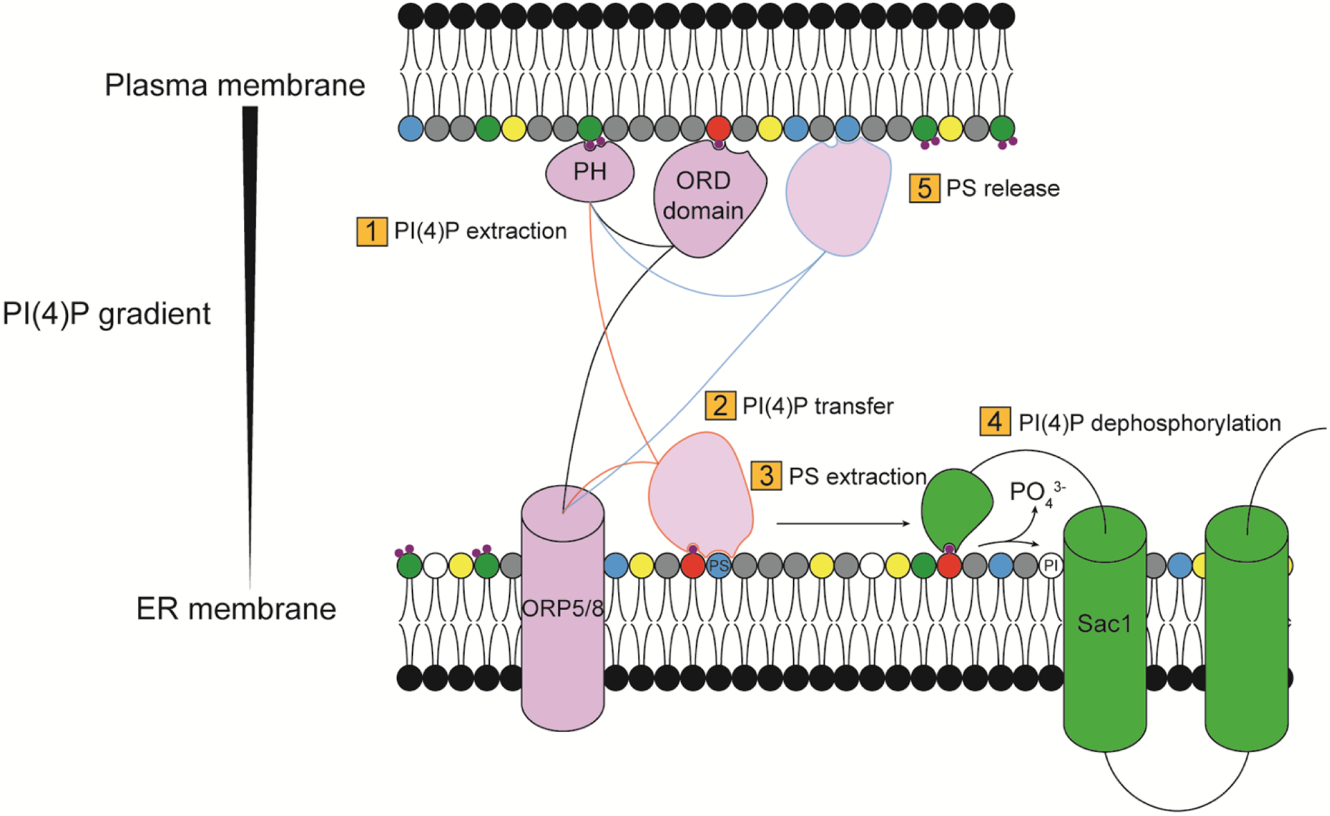 Figure 6.