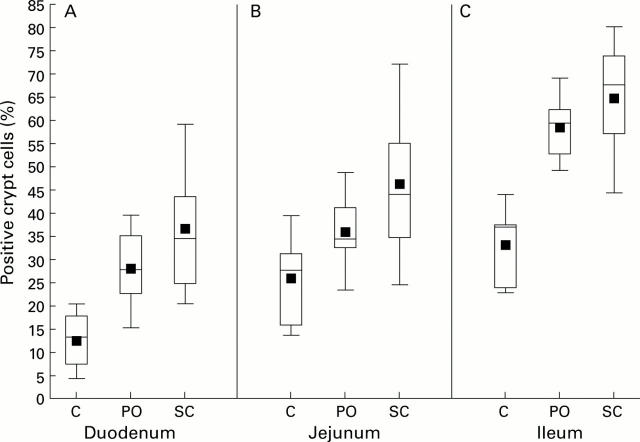 Figure 6  