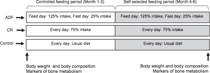 Fig.2