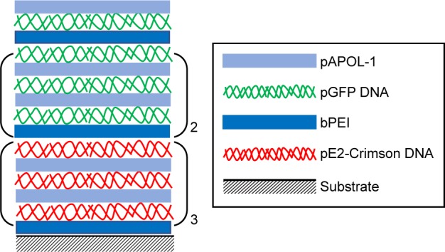 Scheme 3