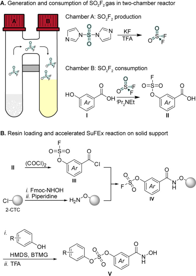 Scheme 1