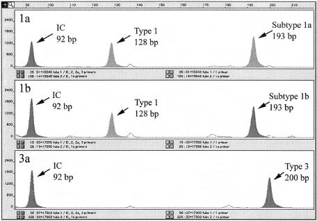 FIG. 1.