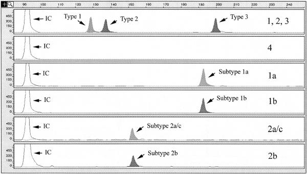 FIG. 2.