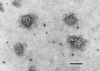FIG. 6
