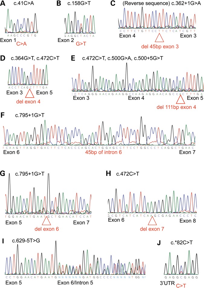 Figure 2.