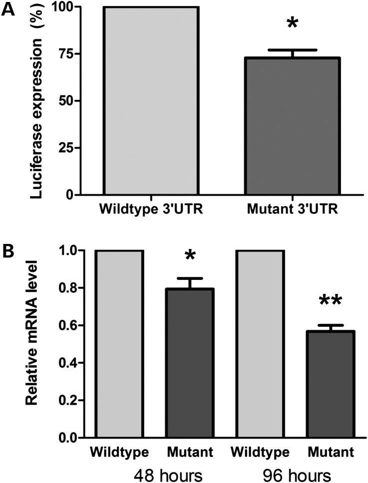 Figure 3.