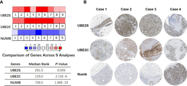 Figure 3