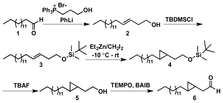 Scheme 2