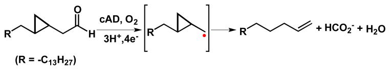 Scheme 3