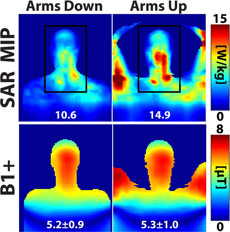 Figure 10: