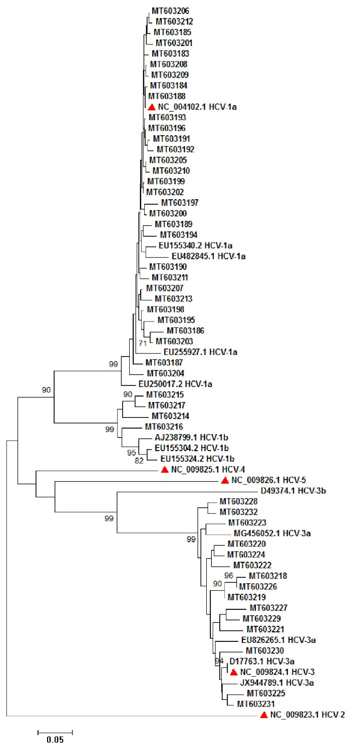 Fig. 3: