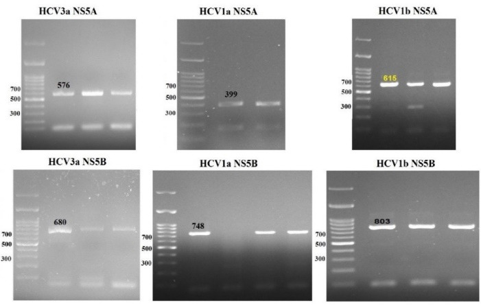 Fig. 2: